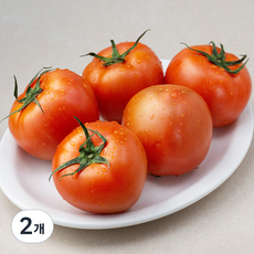광식이농장 GAP 인증 완숙 토마토, 1kg, 2팩 1kg × 2팩 섬네일