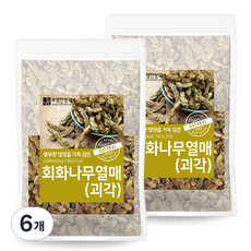 부영한방약초 회화나무열매 괴각, 300g, 1개입, 6개