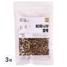 청년농원 회화 나무 열매, 3개, 250g