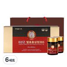 정원삼 6년근 발효홍삼정365 + 쇼핑백, 800g, 6세트