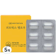 피토틱스 옐로우 유산균 15g 30정 5개