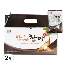 활기찬하루 참마 진액, 100ml, 30개입, 2개