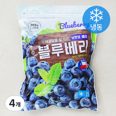 호재준 칠레산 블루베리 (냉동), 1kg, 4개