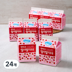 덴마크 딸기딸기 우유, 300ml, 24개