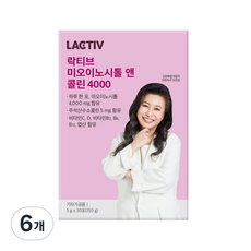 락티브 미오이노시톨 앤 콜린 4000 30p