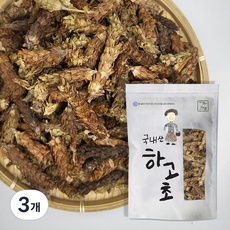 월드블링 하고초