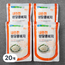 내린천원당 콩비지, 300g, 20개