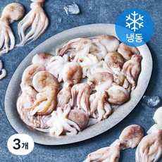 올프레시 IQF 주꾸미 (냉동), 500g, 3개