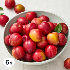 김천앤 내몸에 당도선별 꼬마 대석 자두, 2kg, 6개