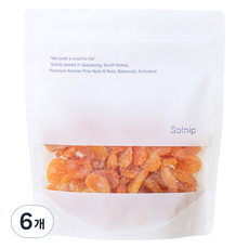솔닙 달콤하고 향긋한 건살구, 180g, 6개
