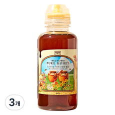 정원담 프리미엄 자연 야생화 순수 벌 꿀, 3개, 500g 꿀/프로폴리스