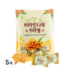 안신 비타민나무 캬라멜, 120g, 5개