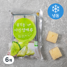 유기가공식품 인증 웰팜넷 유기농 다진양배추 (냉동), 100g, 6개