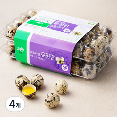 조인 무항생제 메추리알 유정란 56구, 504g, 4개
