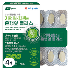 코오롱제약 기억력 혈행엔 은행잎 플러스, 30정, 4개 30정, 4개