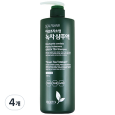 모에타 어성초 자소엽 녹차 샴푸액 지성 두피용, 1kg, 4개