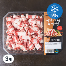 엑셀비프 양념구이용 우삼겹 (냉동), 600g, 3개