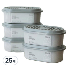 온다숲 반영구 제습제 본품, 300g, 25개
