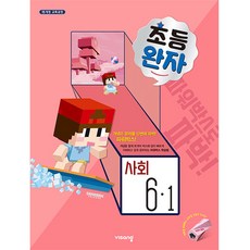 국어완자