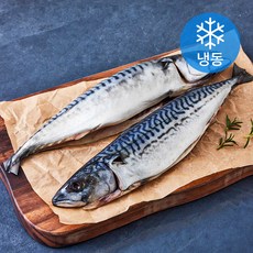 고등어청년 자반고등어 (냉동), 1개, 700g(미 당 350g 내외)
