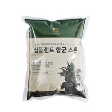 심플랜트 공기정화 수경재배용 스톤 500ml, 1개