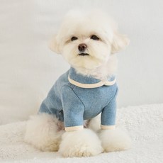 베니즈 강아지 타르트 카라 니트, 스카이블루, 1개