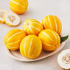 가락시장 새벽경매 미니참외, 1.5kg(6~9입), 1개