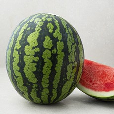산지직송 당도선별 드림팜 씨적은 수박, 10kg 미만, 1개