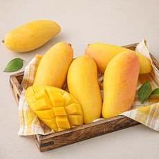 맛젤 태국산 마하차녹 망고 4~6입, 1.95kg, 1개