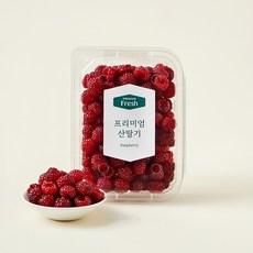 프리미엄 산딸기, 250g, 1개 1개, 250g