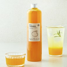 손스 수제 천혜향청, 1개, 600ml