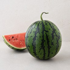 모두유통 한반도 당도선별 겨울 수박, 4kg 미만, 1개