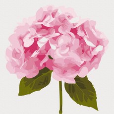 플레이어바웃 명화 그리기 DIY 세트 핑크 수국 피포페인팅 20 x 20 cm, 혼합색상