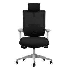핏쳐 사무용 등받이 컴퓨터 의자 FOC2, 블랙