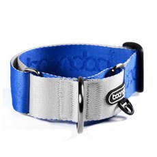 분독마틴게일목줄