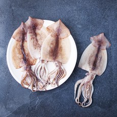부산 13번 중매인 산지직송 손질 오징어 (냉장), 480g, 1박스