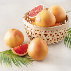 다조은 남아공산 자몽, 1팩, 3kg(8~10입)