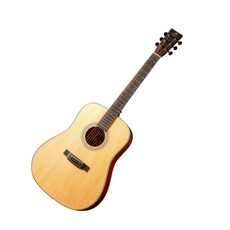 벤티볼리오 어쿠스틱 기타, NT, Genuine1011