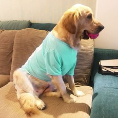 강아지 쿨 매쉬 티셔츠 중대형견용, 민트