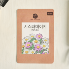프레시가든 꽃씨앗 샤스타데이지, 단품