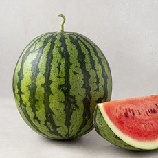 수토마켓 산지직송 고당도 수박, 5kg 미만, 1개