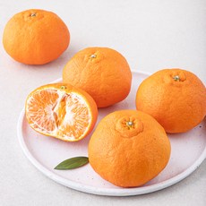제이드가든 레드향 대과, 1개, 1.3kg(4입)