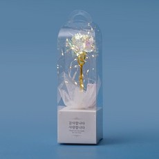 morningscent 조화 반딧불 카네이션 + 조명 세트, 홀로그램, 1세트