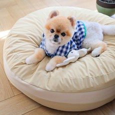 초코펫하우스 강아지 쿠션 마카롱 방석, 꾸우덕 피넛버터 베이지