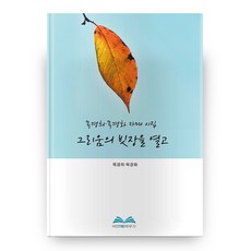 하우스비전