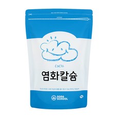 소다스쿨 염화칼슘 제습제 리필, 1kg, 1개