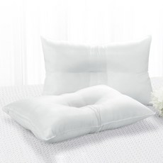 NEMOLINE 拉鍊式低枕枕芯，40x60公分，白色，2入, 40*60cm, 2個