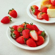 퓨어웍스코리아 딸기, 1개, 300g(20과)