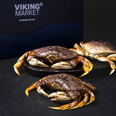 바이킹마켓 던지네스 크랩 선물세트 (냉장), 1개, 2.1kg 내외(3미)