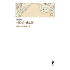 신학의 영토들 : 서평으로 본 현대 신학, VIA